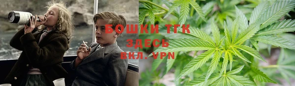 2c-b Бородино