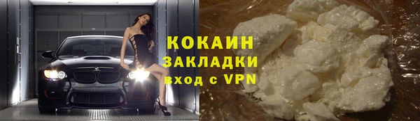 2c-b Бородино