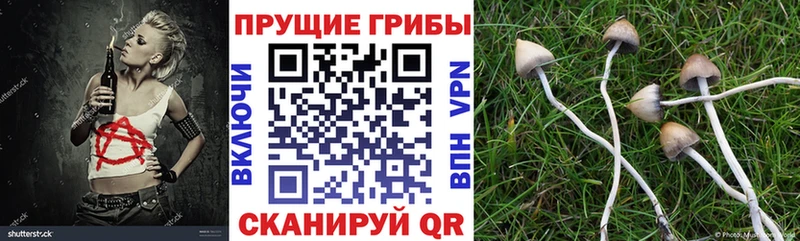 Псилоцибиновые грибы мухоморы  Купить  Павлово 